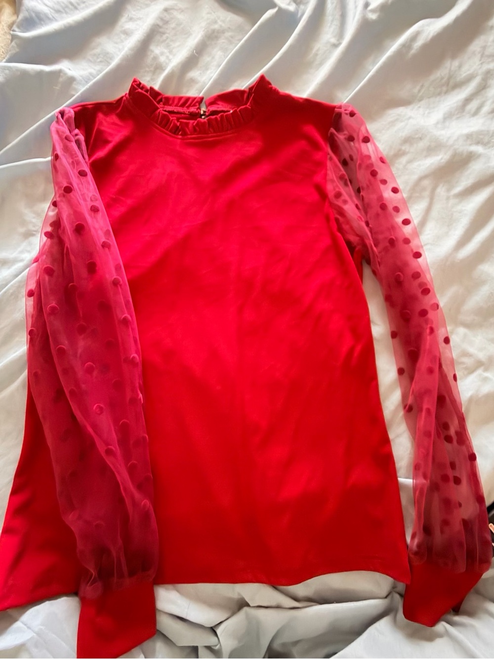 Women's Burgundy Long-Sleeve Mesh Dot Sleeve Blouse